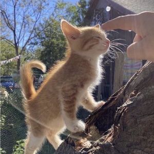 Meet your Posher, Gabrielle